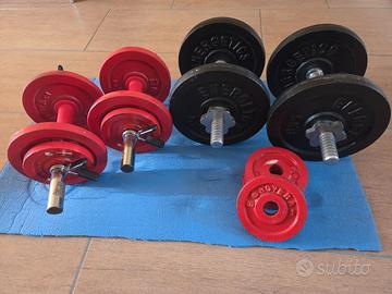 Manubri con dischi in ghisa completi