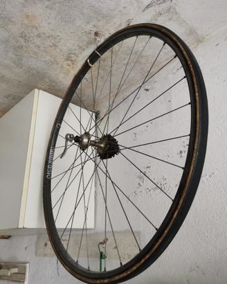 Cerchione ruota ambrosio bici da corsa eroica