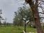 Immagine 18