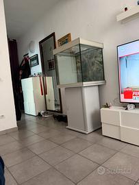 acquario 220 litri cubo 69  60