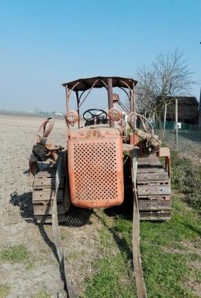 Trattore fiat 55 l cingolato con pala movimento te