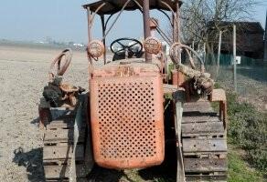 Trattore fiat 55 l cingolato con pala movimento te