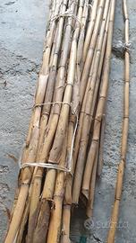 CANNE DA BAMBU'