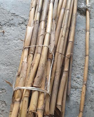 CANNE DA BAMBU'
