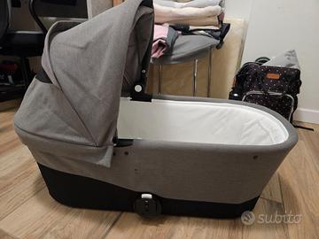 Navicella cybex gazelle