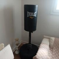 pungiball everlast