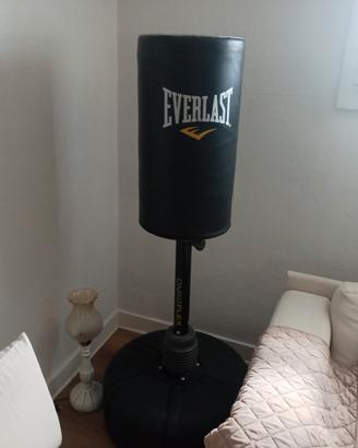 pungiball everlast