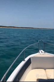 Barca Molinari falcon