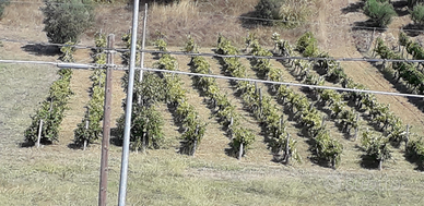 Terreno mongrassano scalo