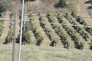Terreno mongrassano scalo