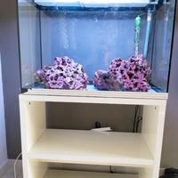 Acquario ASKOLL PURE XL MARINE
