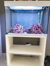 Acquario ASKOLL PURE XL MARINE