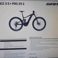 Ebike giant