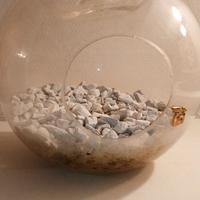 Terrario in vetro a forma di mela