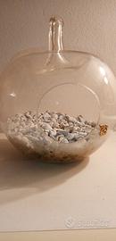 Terrario in vetro a forma di mela