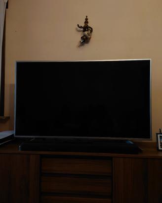 Sony Bravia 55 pollici 