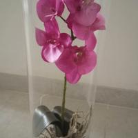 Orchidea finta con grandi fiori fucsia