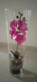 Orchidea finta con grandi fiori fucsia