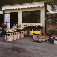 Licenza attività