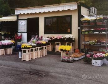 Licenza attività