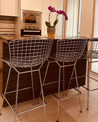 Sgabelli Bertoia x Knoll