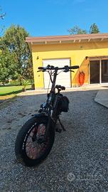 bicicletta elettrica 