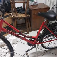Bici  Sergio Bianchi