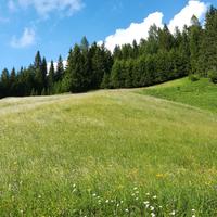 Vacanze sulle Dolomiti