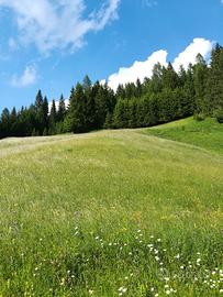 Vacanze sulle Dolomiti