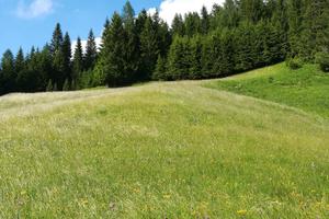 Vacanze sulle Dolomiti