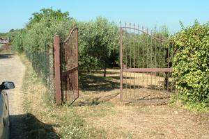 Albano. Pavona - Cancelliera. via della torre