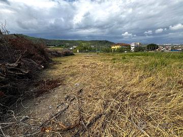 Rif.RI546| terreno agricolo settingiano