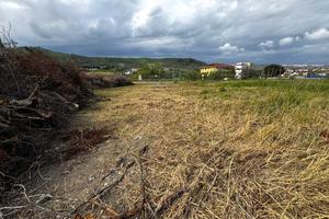 Rif.RI546| terreno agricolo settingiano