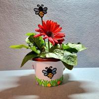 coprivaso decorativo