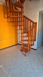 scala a chiocciola  in noce  di qualità eccezional