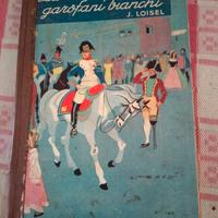 Libro la casa dei Garofani bianchi