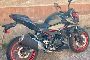 Kawasaki Z500 MY2024