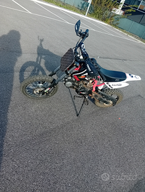 Pit bike 125 anno 2018