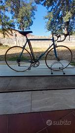 bicicletta Francesco Moser