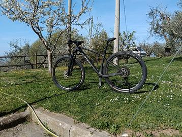 Scott scale carbonio anno 2025