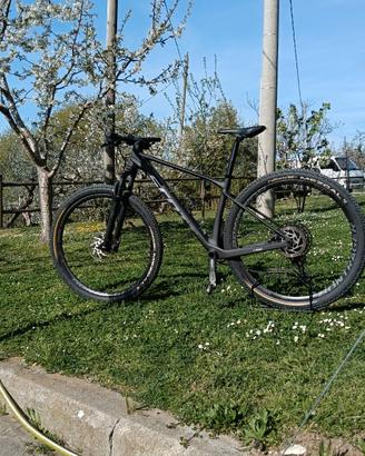 Scott scale carbonio anno 2025