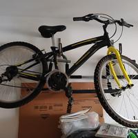 Mountain bike 24