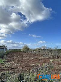 Ciaculli/Conte Federico - Terreno di 1000 mq