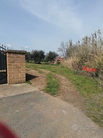 Terreno+magazzino