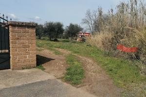 Terreno+magazzino