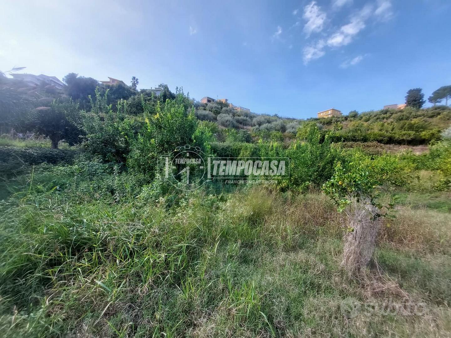 TERRENO AGRICOLO DI UN ETTARO A PACE DEL MELA. - Vista 5