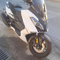 Wottan Motor Storm-S 300 - 2022