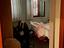 Immagine 9