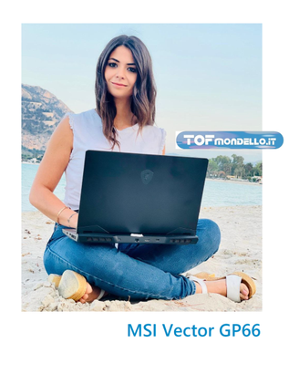 MSI VECTOR GP66 - RTX 3080 - i7 12700H