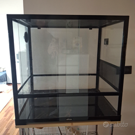 Terrario per rettili